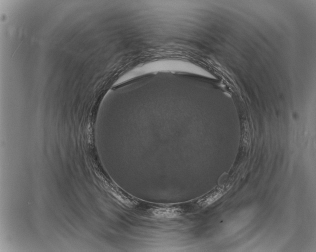 X0000087680465200705181734