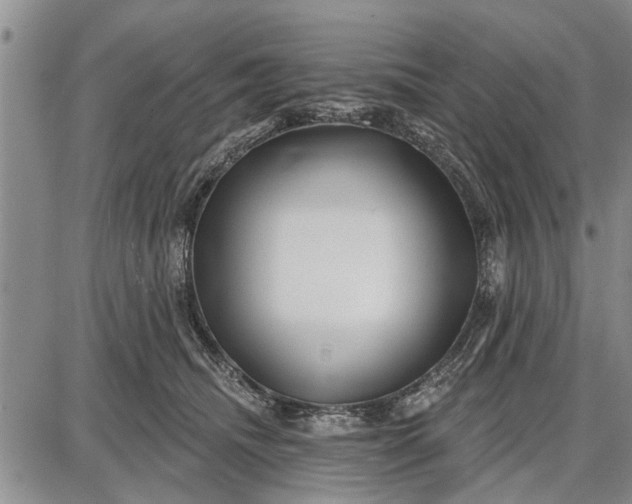 X0000087680468200705181734