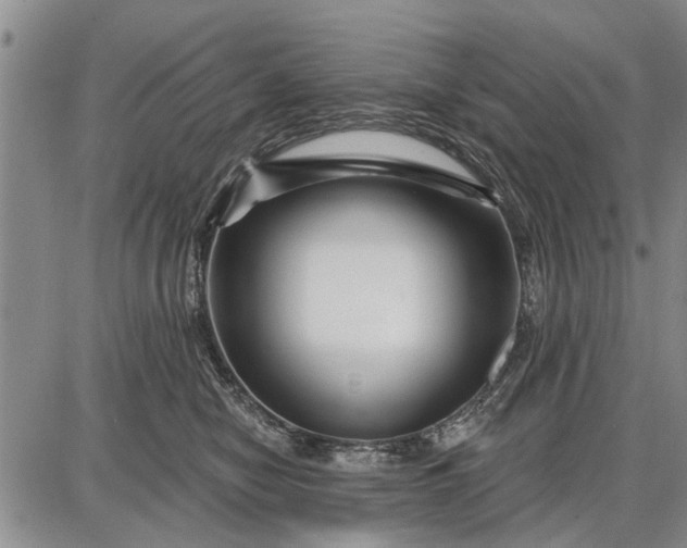 X0000087680470200705181734