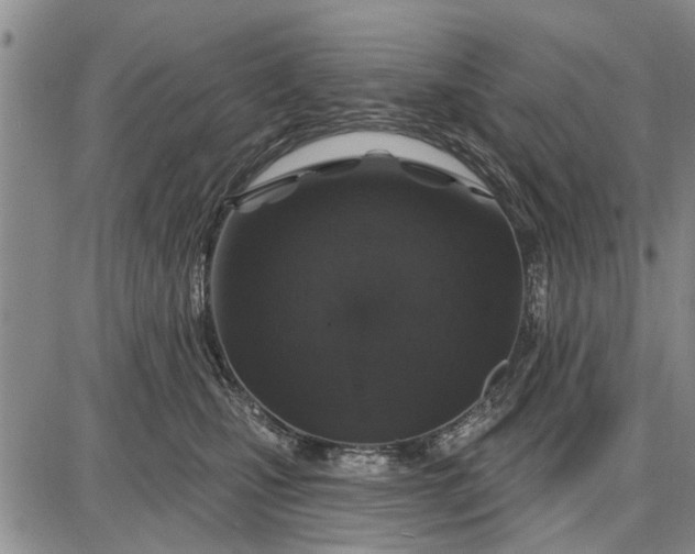 X0000087680471200705181734