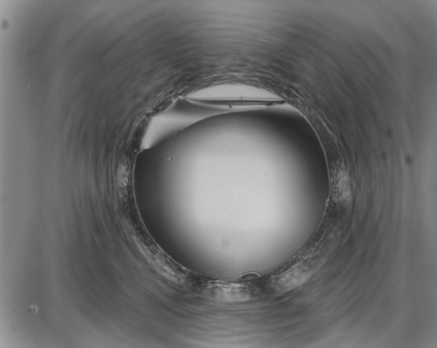 X0000087680472200705181734