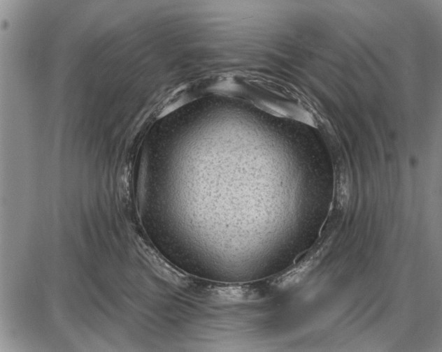 X0000087680473200705181734