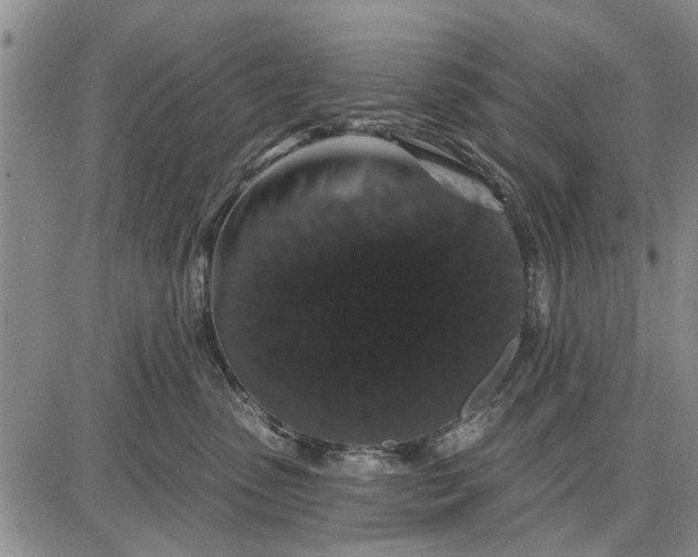 X0000087680475200705181734