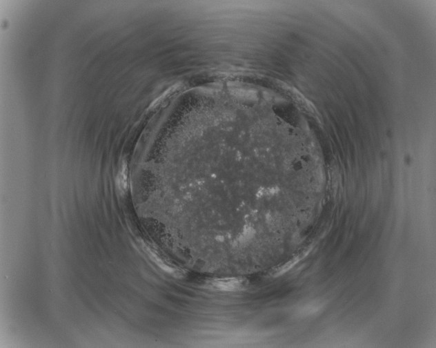 X0000087680479200705181734