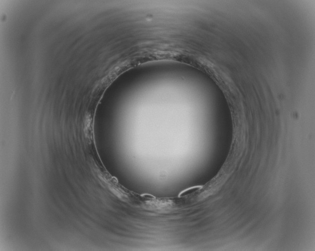 X0000087680480200705181734