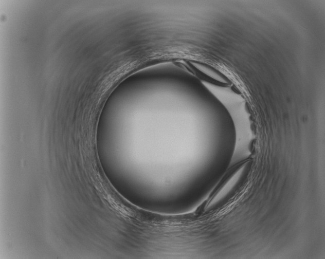 X0000087680481200705181733