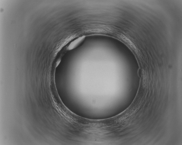 X0000087680482200705181733