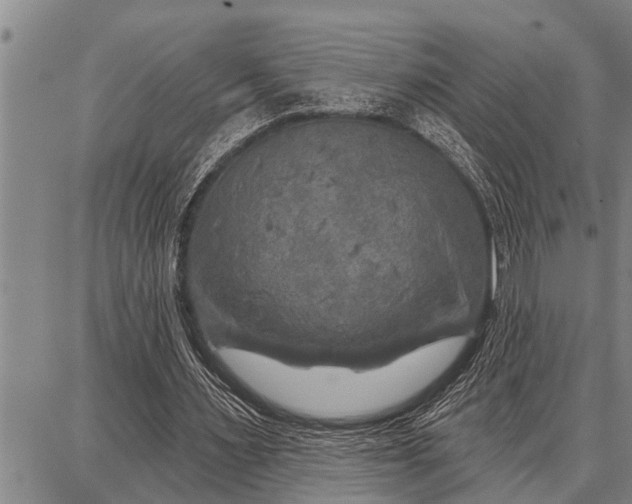 X0000087680483200705181733