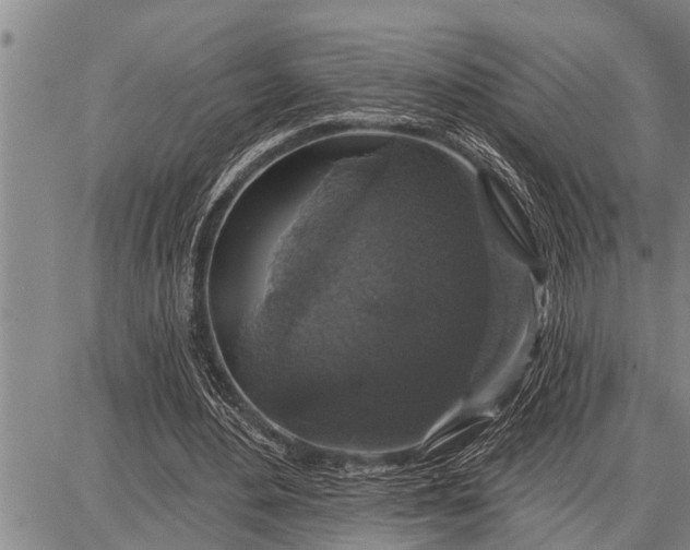 X0000087680484200705181733