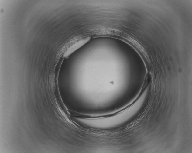 X0000087680485200705181733