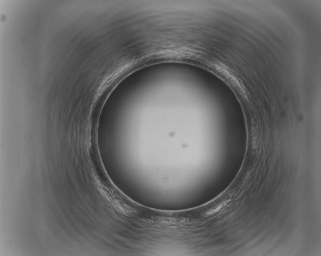 X0000087680486200705181733