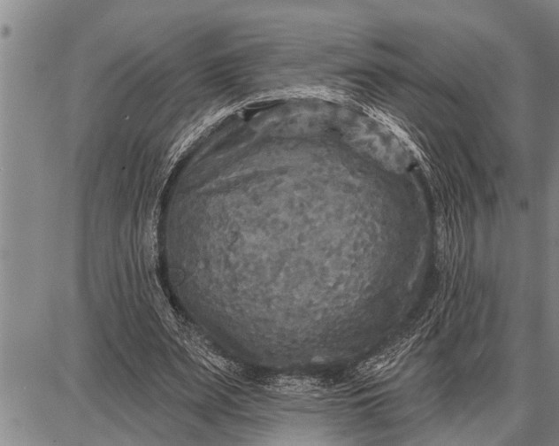 X0000087680487200705181733