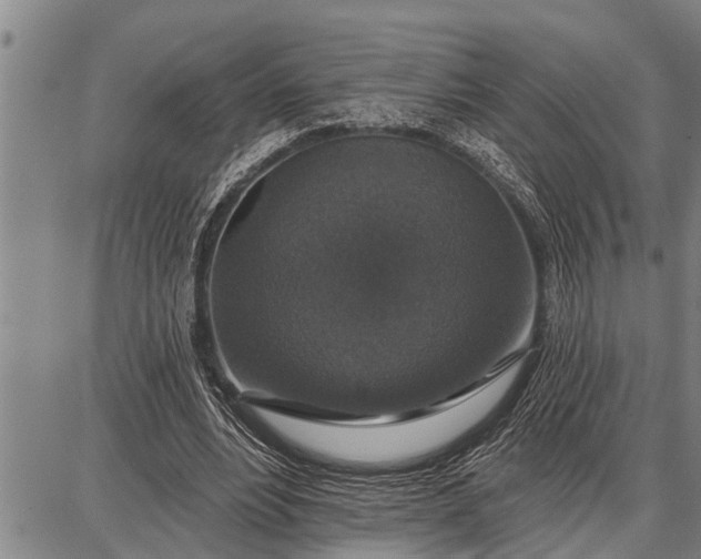 X0000087680488200705181733