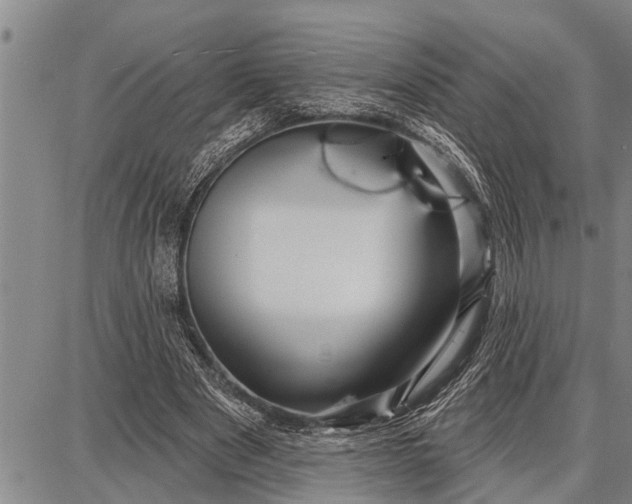 X0000087680489200705181733