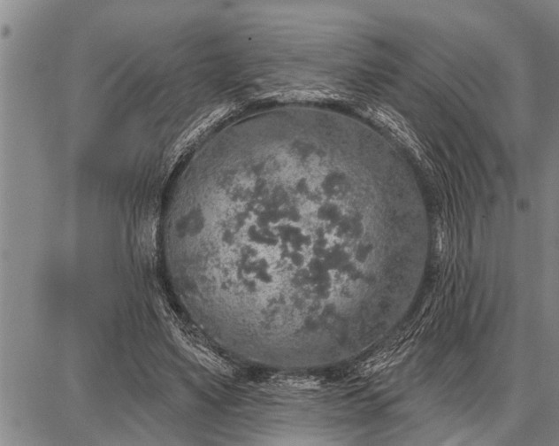 X0000087680491200705181733