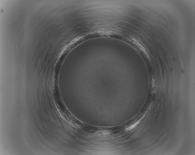 X0000087680492200705181733