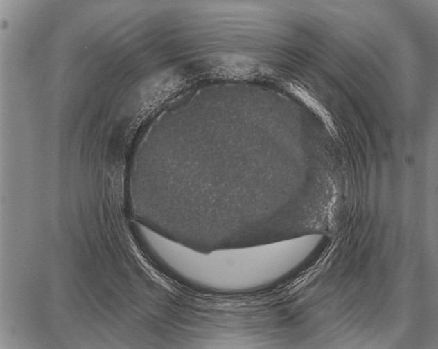 X0000087680493200705181733