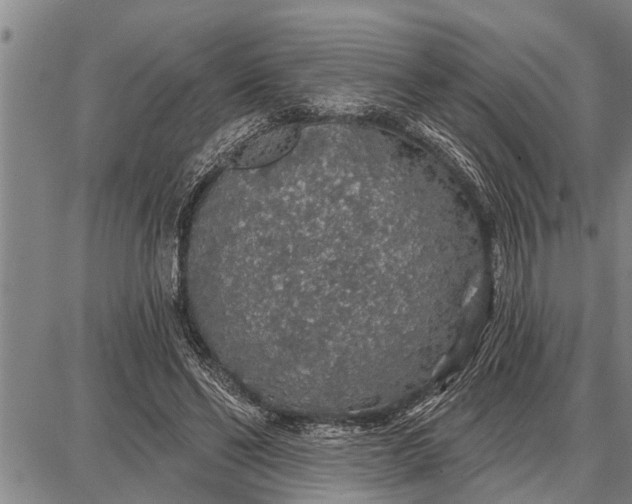 X0000087680494200705181733