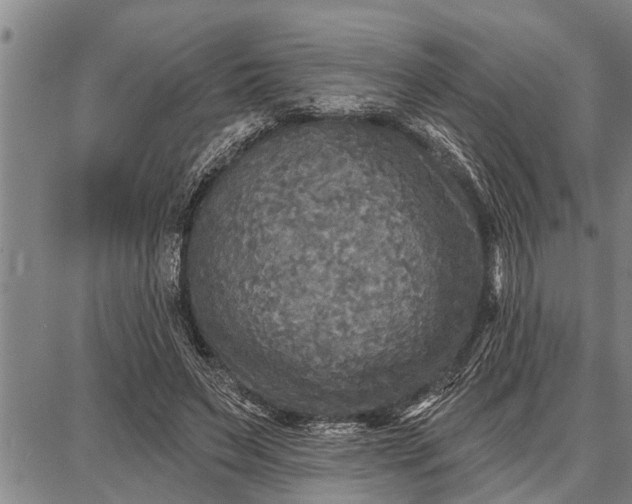 X0000087680495200705181733