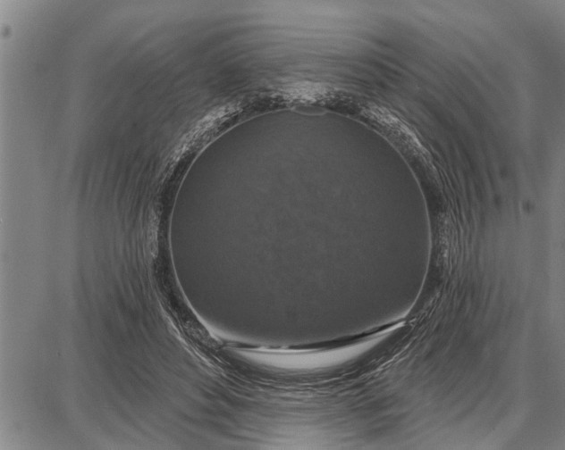 X0000087680496200705181733