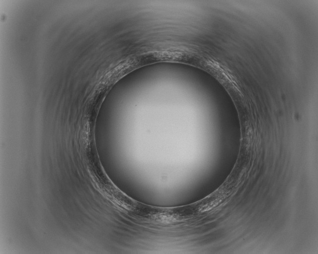 X0000087680498200705181733