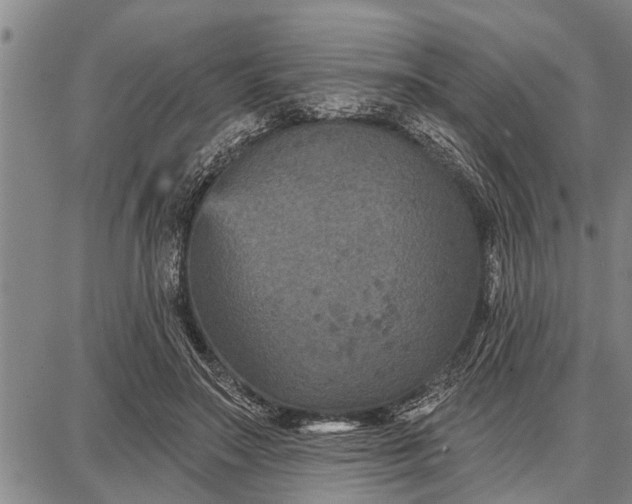 X0000087680499200705181733