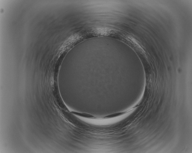 X0000087680500200705181733