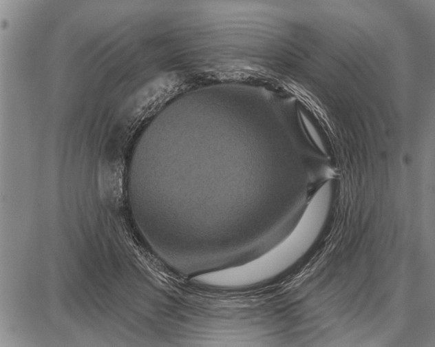 X0000087680501200705181733