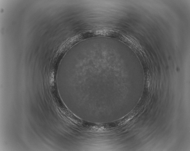 X0000087680502200705181733