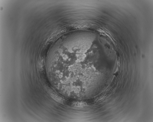 X0000087680503200705181733