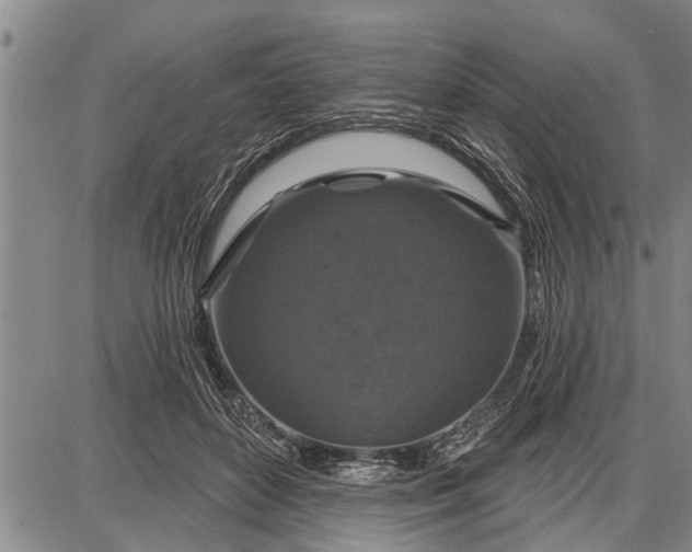 X0000087680504200705181733