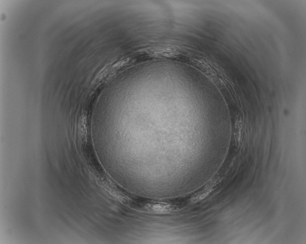 X0000087680506200705181733