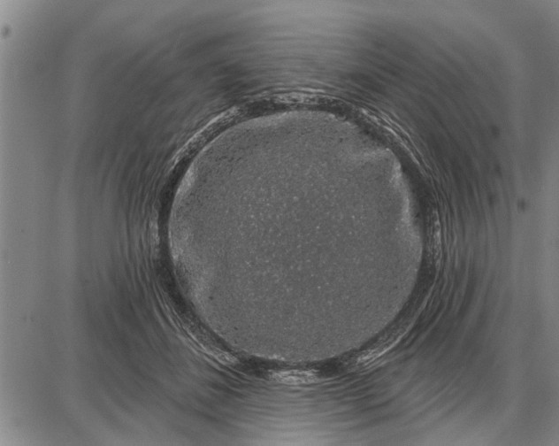 X0000087680508200705181733