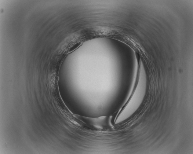 X0000087680509200705181733