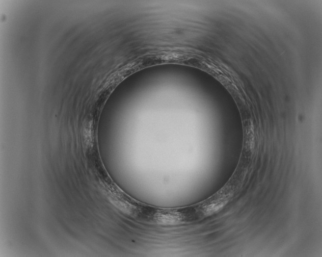 X0000087680510200705181733