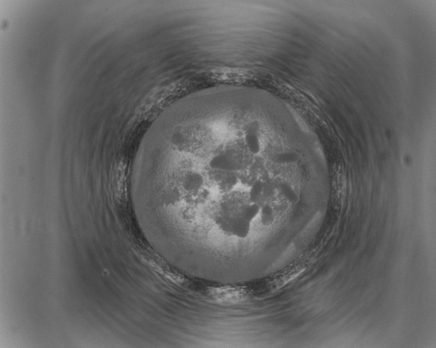 X0000087680511200705181733