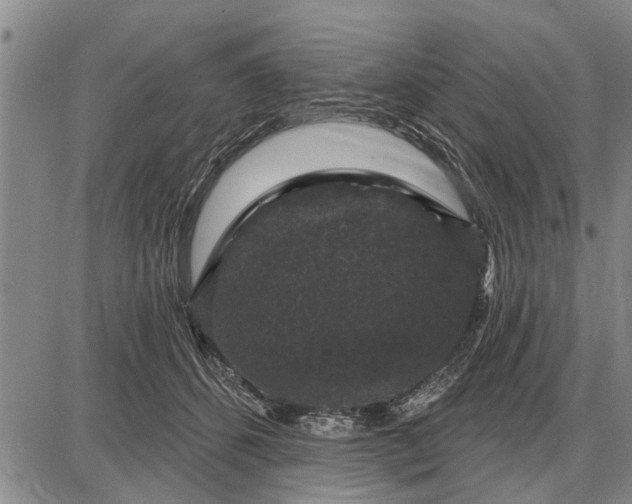 X0000087680512200705181733