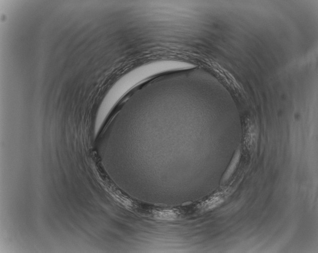 X0000087680513200705181733