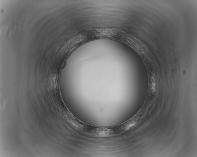 X0000087680514200705181733