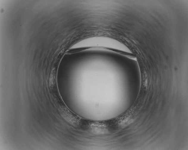 X0000087680515200705181733