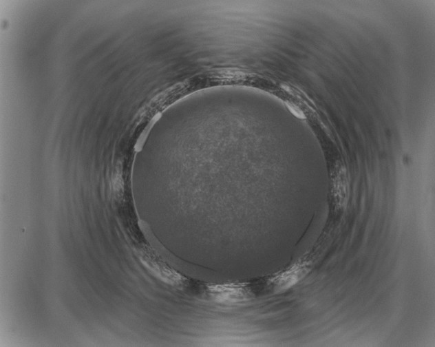 X0000087680516200705181733