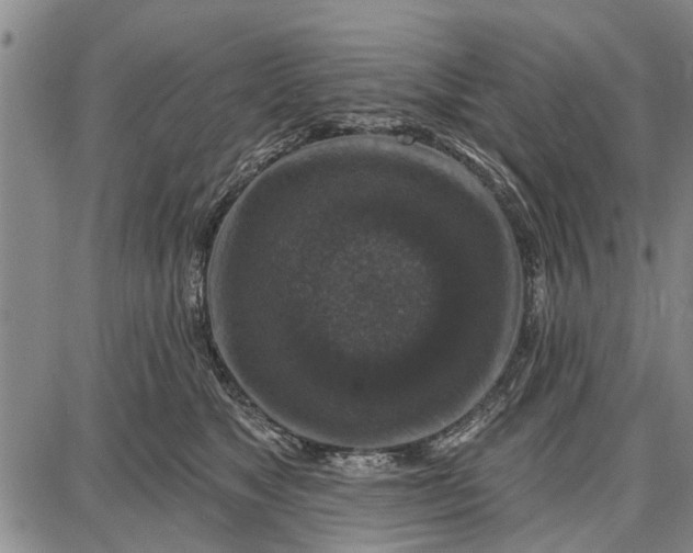 X0000087680517200705181733