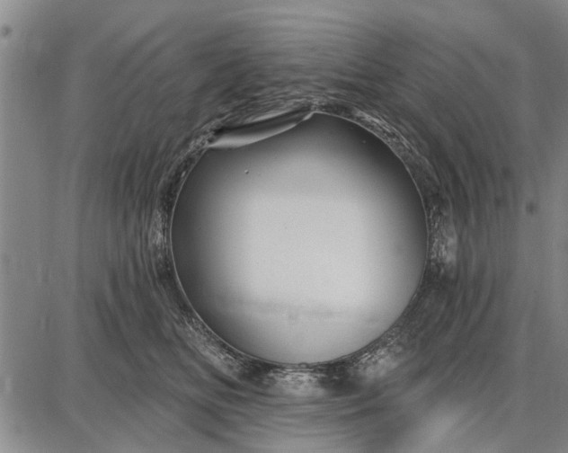 X0000087680518200705181733