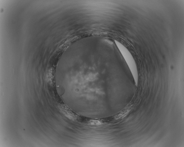 X0000087680519200705181733