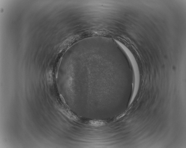 X0000087680520200705181733