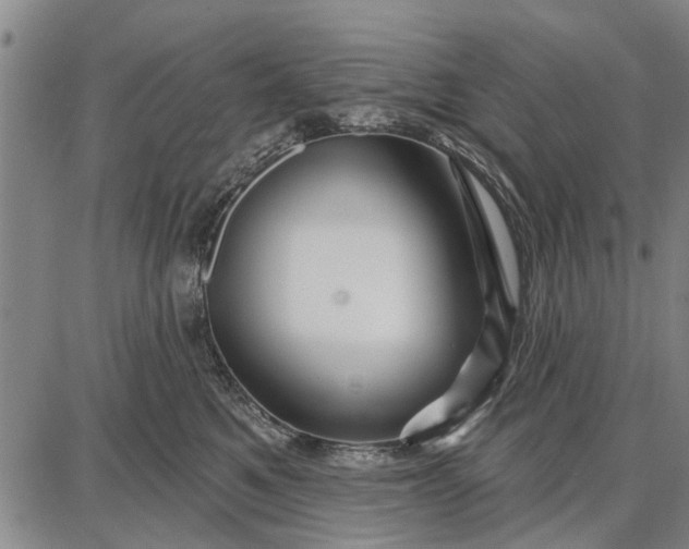 X0000087680521200705181733