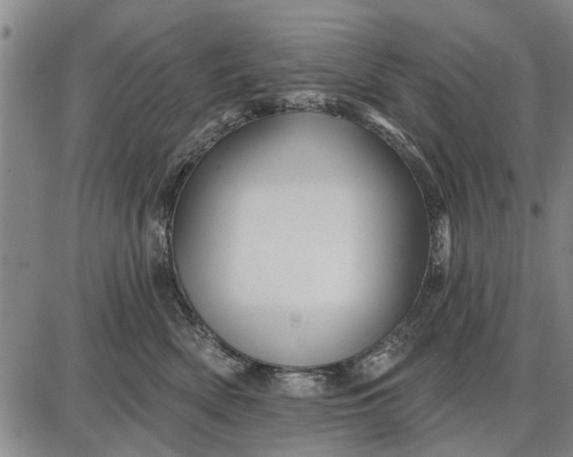 X0000087680522200705181733