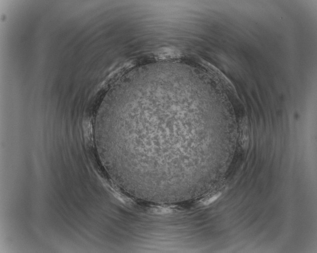 X0000087680523200705181733