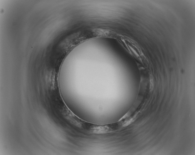 X0000087680525200705181733