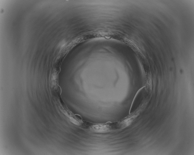 X0000087680526200705181733